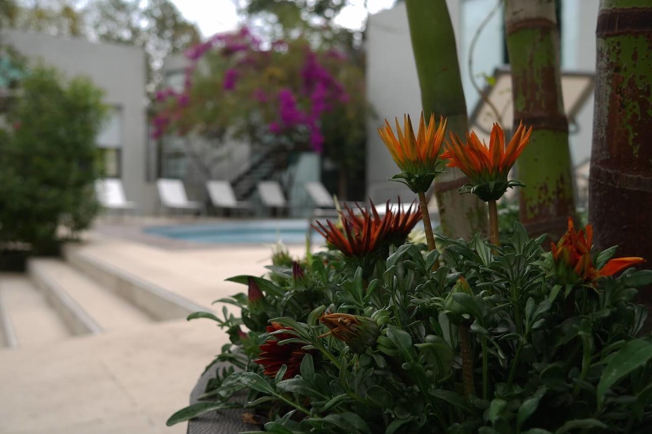 Casa Tepoztlan Bed and Breakfast Buitenkant foto